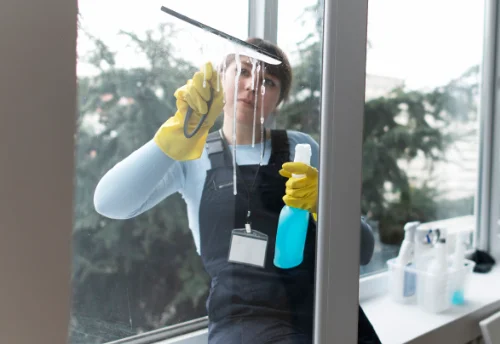 Nettoyage de vitres intérieures et extérieures à Saint-Myon